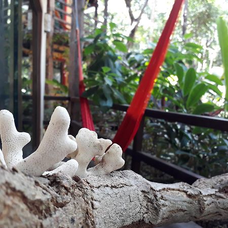 プレヤデルカーメン Dolce Caribe Xcaret Bed & Breakfast エクステリア 写真